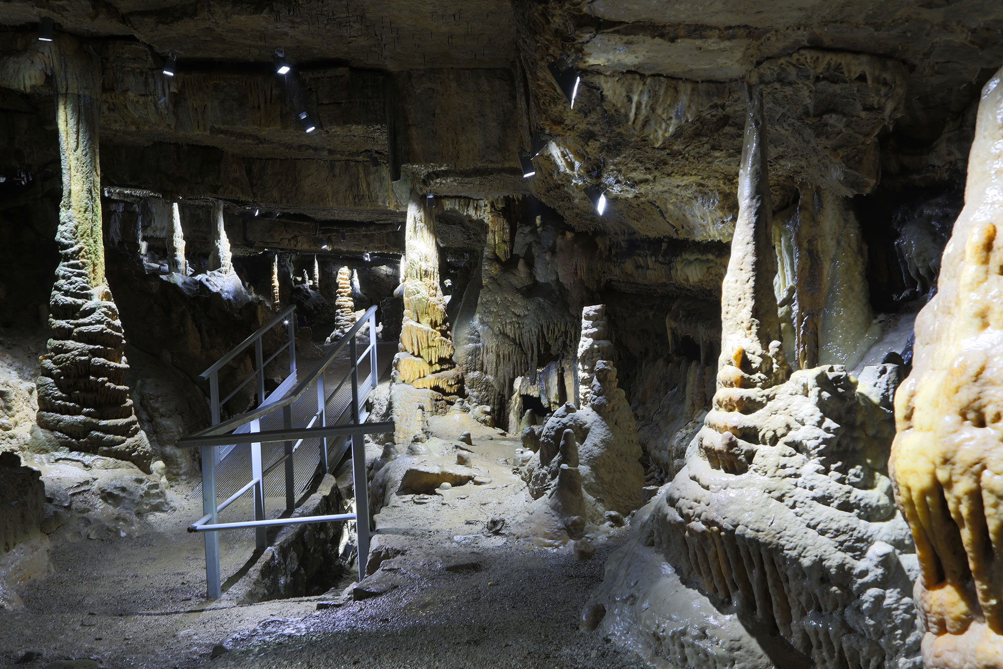 Erdmann cave Station 4
