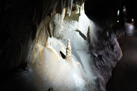 Rock wall illuminated by warm LED lighting and accents in Herrmann’s Cave